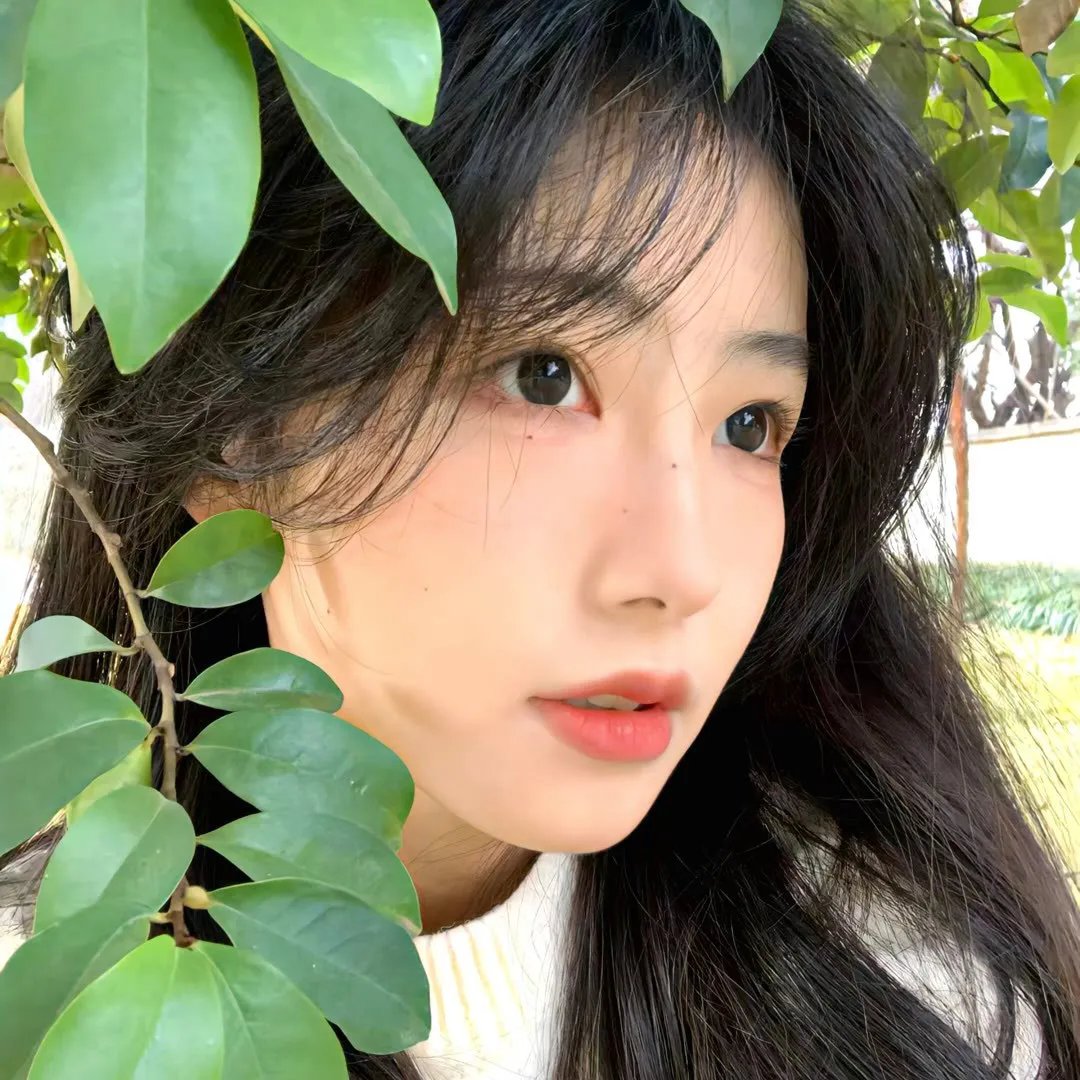 白雪皑皑